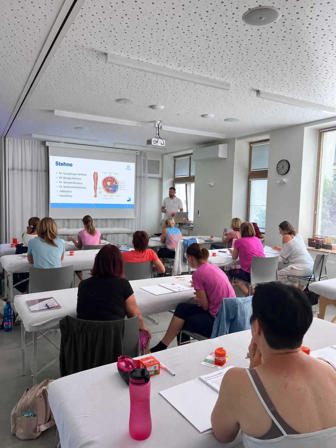 Teoretická část semináře – anatomie stehna